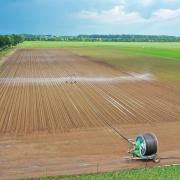 zavlahy-dyjakovice-63