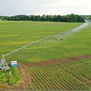 zavlahy-dyjakovice-64